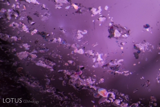 A plane of tiny negative crystals filled with a birefringent substance graces the interior of this red spinel from Tanzania’s Mahenge region.