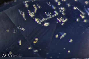 Tiny birefringent crystals in a Madagascar sapphire. Many of this have growth tubes connected to them, giving the appearance of balloons on a string.
