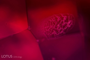 Unusual flat fingerprint in a red spinel.