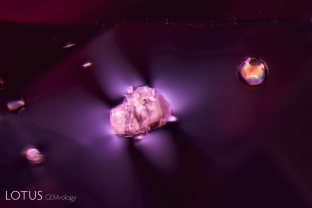 A rounded apatite crystal displays interference colors while another unknown crystal exhibits strain between crossed polars in this Tanzanian hot pink spinel.
