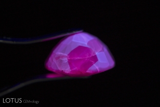 When Burmese rubies, such as this stone from Mong Hsu, are heat treated, they often develop a zoned chalky fluorescence in shortwave UV. In this position, the stone’s original blue core has been removed by the heat treatment, but that zone does not display the chalky fluorescence, just fluorescing red.