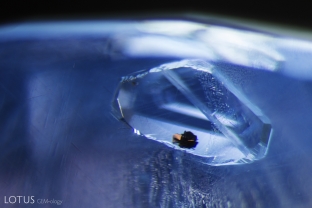 A graphite crystal is encapsulated within a negative crystal in this unheated Ceylon sapphire.