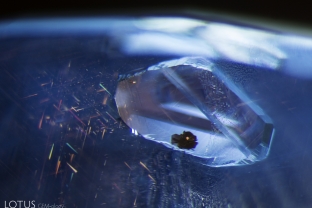 A graphite crystal is encapsulated within a negative crystal in this unheated Ceylon sapphire. On the left we can see iridescent flecks of undissolved “silk,” providing further evidence that the stone is untreated.