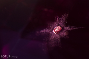 Stellate dislocations form a star-like cushion around a crystal in this untreated spinel from Vietnam.