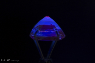 Red fluorescence with zoned chalky green-superficial fluorescence in a Madagascar sapphire.