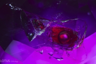 This ruby has been treated with red oil to disguise the appearance of fissures. Here it has been trapped in a cavity with a large gas bubble.