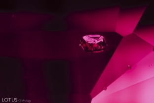 A chalcopyrite crystal shines with a hot pink glow in this untreated Mozambique ruby.