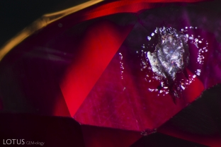A rosette forms a shimmering halo around this mica crystal in a Mozambique ruby.