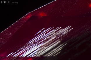 Both long needles and fine exsolved particles can be spotted in this Mahenge spinel.