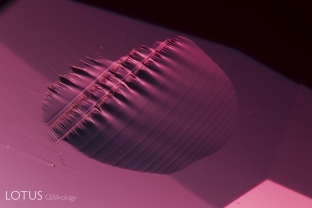 This conchoidal fracture on the surface of a red spinel reveals the underlying atomic symmetry.