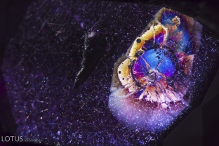 A fine fissure radiates out from this crystal in a Madagascar ruby, creating a rainbow-like halo around it.