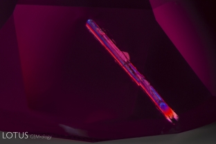 This rod-like crystal, cut through on the surface of a Burma spinel, displays vivid colors when viewed in crossed polars.