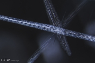 Stellate (star-like) dislocation needles like these commonly decorate Vietnamese spinel.