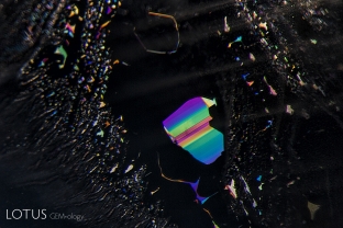 Oblique fiber-optic illumination reveals lovely iridescence in this secondary liquid inclusion in an untreated sapphire from Sri Lanka.