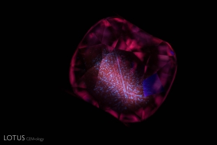 Chalky shortwave fluorescence follows the pattern of partially dissolved silk in this heated pink sapphire.