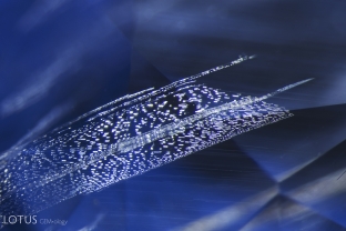 “Banner-like” fingerprints are often found in Burmese sapphire, where inclusions grow in between twin planes, creating an elongated appearance.