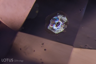 A combination of dark field and overhead lighting was used to photograph this scene in a violet sapphire from Sri Lanka, which shows two large mica plates and smaller rounded zircon crystals. The undamaged state of the mica reveals that this sapphire has not been subjected to heat treatment.