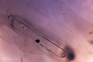 Negative crystals can contain a variety of substances. In this example, on the left we see what are likely diaspore needles, then a graphite flake in the center, and a gas bubble on the right. All show no signs of heat treatment. The gas bubble is the gaseous phase of the liquid carbon dioxide that fills the cavity.