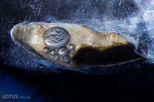 A cavity in sapphire filled with debris and several bubbles; this cavity is open to the surface and appears to be filled with dopping varnish or a resin. FOV ~4.5 mm