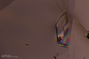 We noticed a transparent birefringent crystal in this blue sapphire from Madagascar. Its luster was lower than the sapphire, indicating a lower RI than the host. Testing with Lotus Gemology’s micro Raman revealed it to be grandidierite. This is the first discovery of grandidierite in corundum.