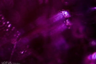 Two crystals with particle trails jet through the depths of a ruby from Afghanistan’s Jegdalek mines. Such particle trails are common next to included crystals as the solids act as a shadow to trap matter as the gem grows in the direction of the trails.