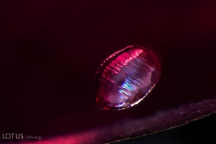 This crystal inside a spinel has displays striking parallel growth markings on its surface.