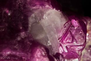 Triangular growth markings decorate the exterior of this rough ruby crystal.