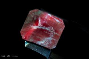 Chalky fluorescence, visible in longwave ultraviolet illumination, unmasks filler in the fissures of this emerald.