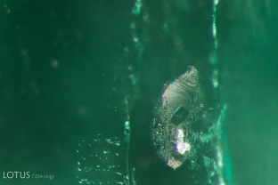A three-phase inclusion can be observed in this emerald.