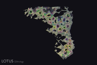 Florida, 2100.