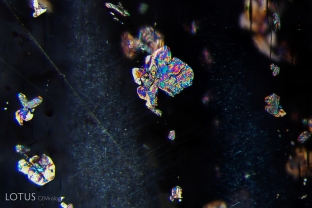This platelet displays bright iridescence in its star spinel host.