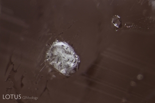This white crystal in a star sapphire from Myanmar’s Mogok Stone Tract was identified as muscovite mica by micro Raman.