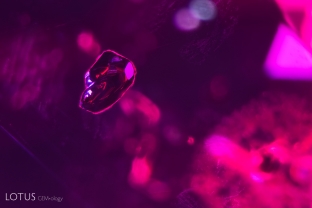 A metallic crystal that is likely hematite stands out in this untreated ruby.