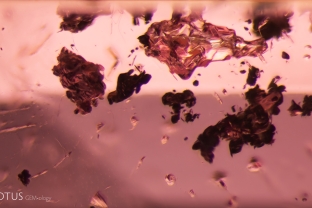 Several irregular dark crystals were present in this pink spinel.