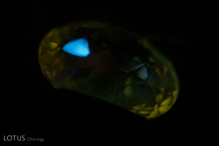 A small, chalky fluorescent patch can be observed when carefully examining this heated yellow sapphire in short wave UV illumination.