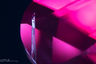 This elongated solid inclusion stood out in its spinel host. Raman spectroscopy identified it as mica.