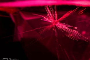Unusual star-like radiating fibers in this natural red spinel.