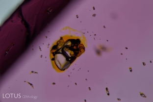 Sulfur-rich fluid inclusions in a natural pink spinel from Pein Pyit, Mogok, Burma. These proved to be an orange liquid when polished down.