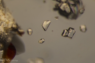 Transparent, doubly refractive crystals in sapphire from Nigeria’s Mambilla region.