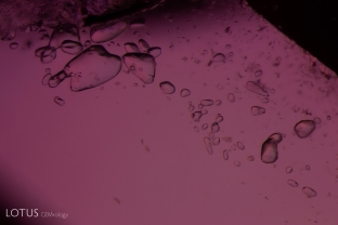 Several transparent crystals are present in this inclusion scene, shown here with light field illumination. Analysis with micro Raman identified these crystals as calcite.