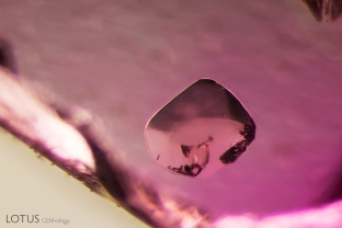 Micro Raman identified this crystal, trapped in a ruby host, as spinel.