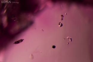 A variety of crystals can be spotted in this inclusion scene. On the left is a crystal containing diaspore, on the right are transparent spinel crystals, and the dark crystal at the bottom is primary rutile.
