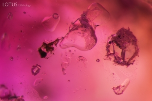 This  scene contained spinel crystals as well as CO2 inclusions.