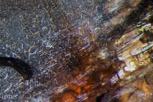 Undissolved rutile silk glitters in this untreated sapphire from Rubyvale, Austrlia.