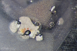 Small crystal grains are surrounded by fissures amidst clouds of rutile silk in this sapphire from Lava Plains.