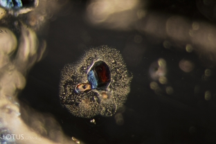 Primary rutile is a common guest in sapphire from Tanzania’s Songea region, as this unheated specimen shows.