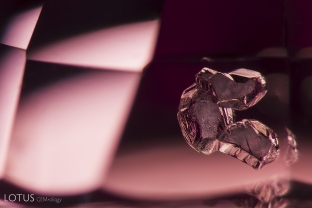 A cluster of transparent crystals, likely apatite, displays clear etch marks inside its spinel host.