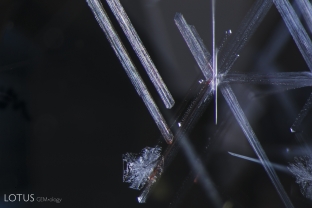 Fine dislocation needles, as shown here, are a typical inclusion in Vietnamese spinel.