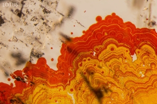 Bright orange staining creates a striking pattern in this quartz.