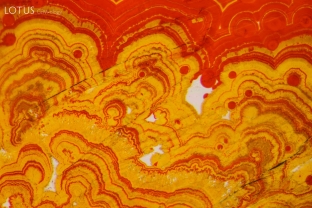 Bright orange staining creates a striking pattern in this quartz.